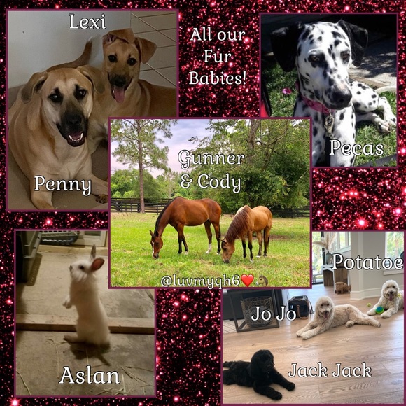 🌟POSH AMBASSADOR ll🌟Status!! Meet your Posher @luvmyqh6 ❤️🐴 - Picture 5 of 5